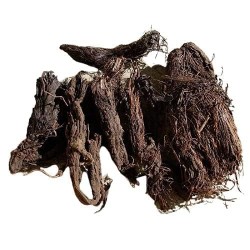 Jadamanjil/Jatamansi/Nardostachys jatamansi