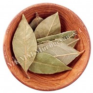 Brinji leaf/ bay leaf (lavangapattai ilai)