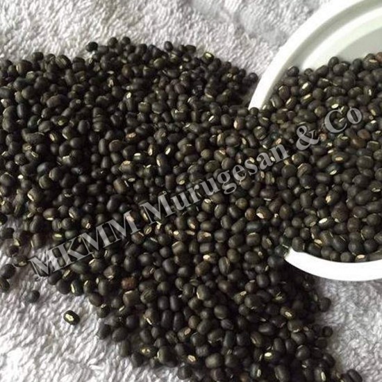 Whole black gram / Karuppu ulundhu Whole black gram / Karuppu ulundhu