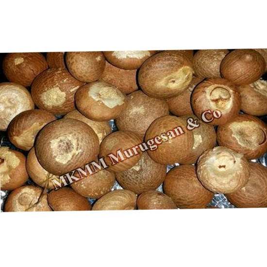 Betal nut round /Kottai pakku