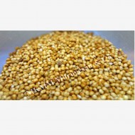 Fox tail millet (Thinai)