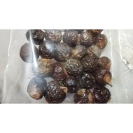 Boondi kottai | soapnut